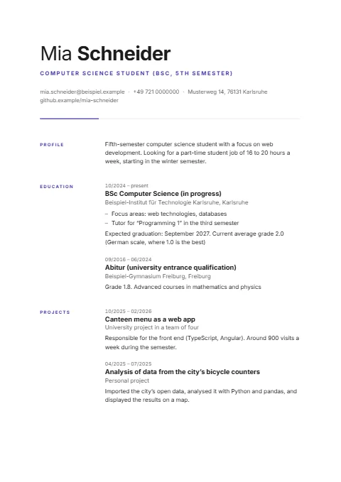 Student CV example