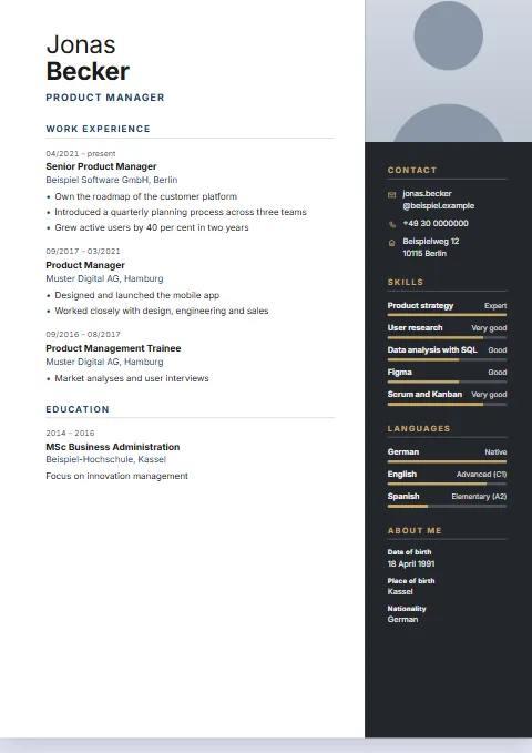 Onyx CV template: A charcoal sidebar on the right with metallic rules; the accent colour belongs to the content alone.
